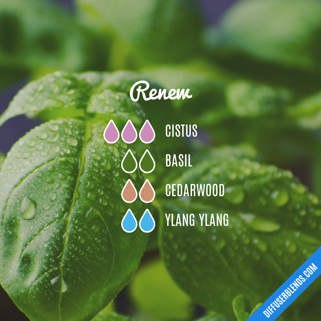 Renew — Essential Oil Diffuser Blend