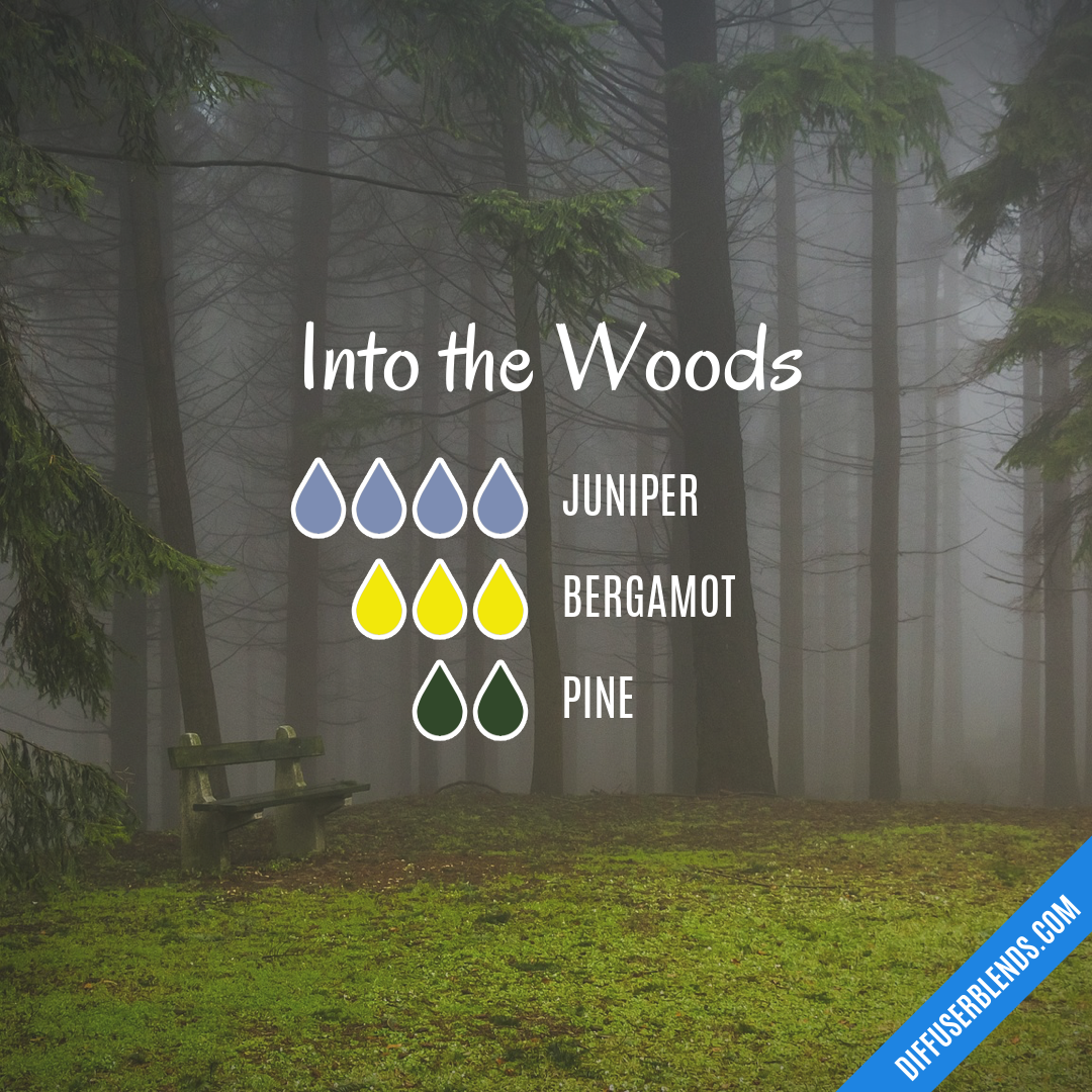 Into the Woods — Essential Oil Diffuser Blend