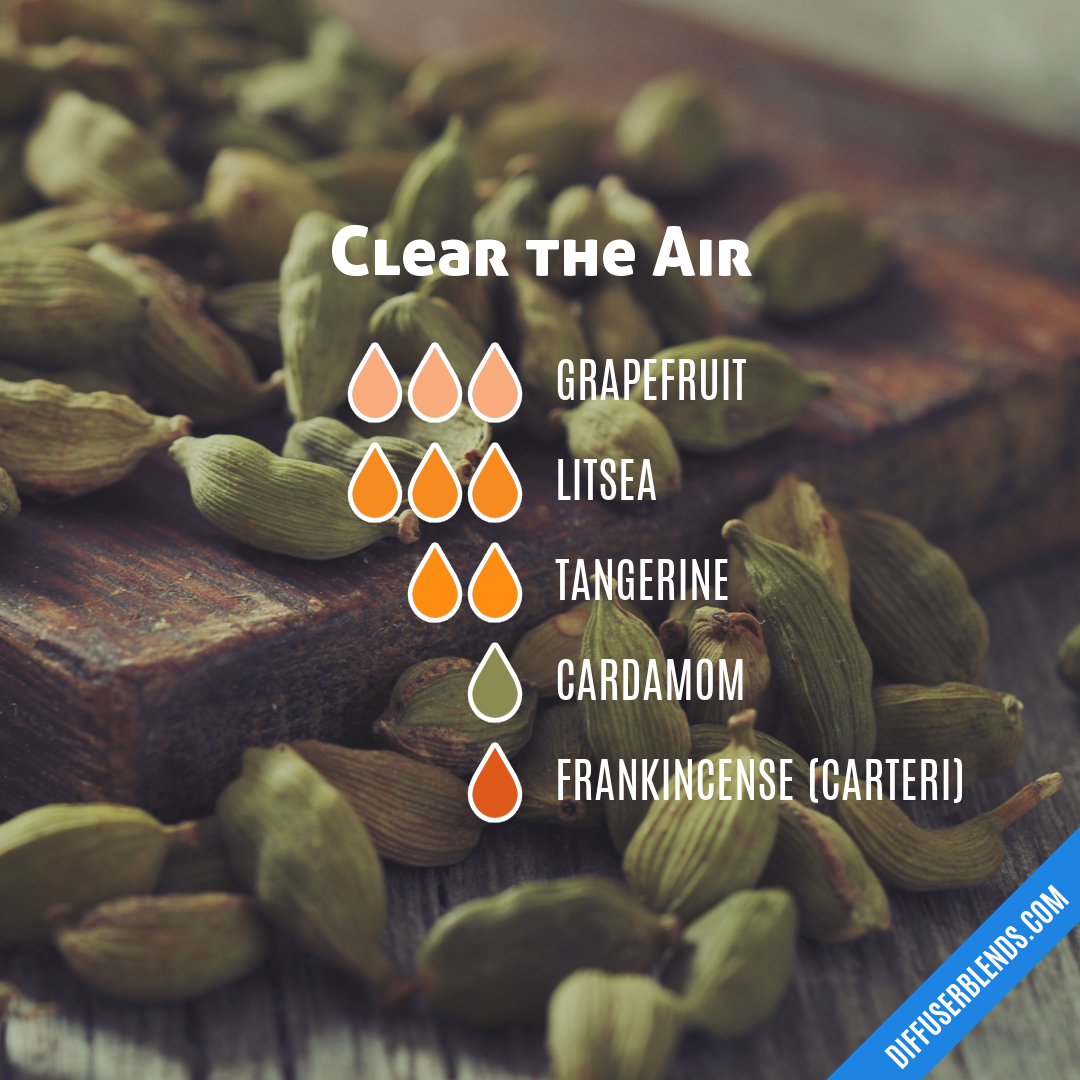 Clear the Air — Essential Oil Diffuser Blend