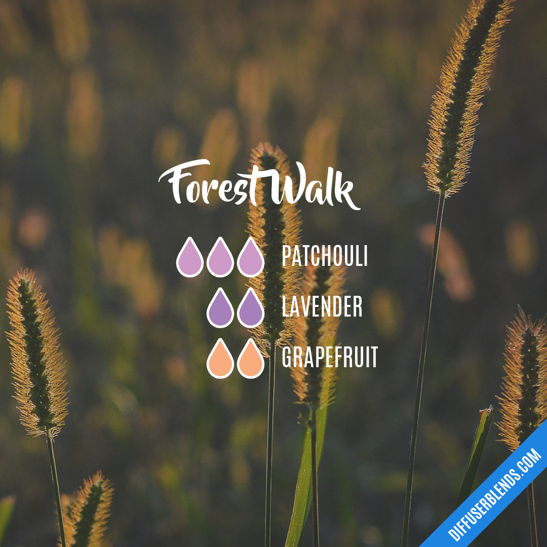 Forest Walk — Essential Oil Diffuser Blend