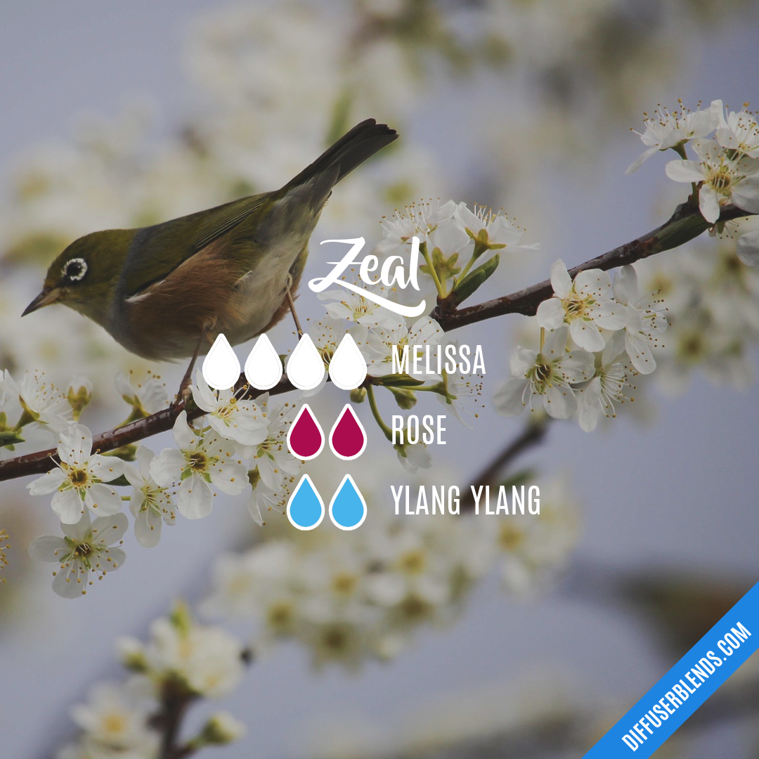 Zeal — Essential Oil Diffuser Blend