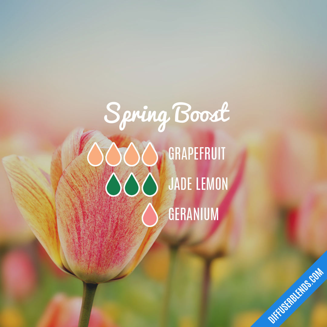 Spring Boost — Essential Oil Diffuser Blend