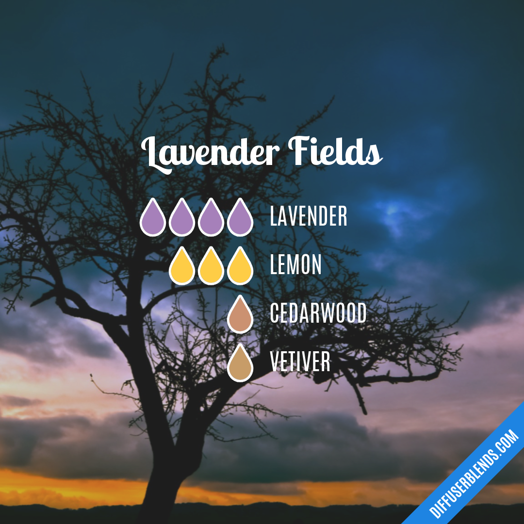 Lavender Fields — Essential Oil Diffuser Blend