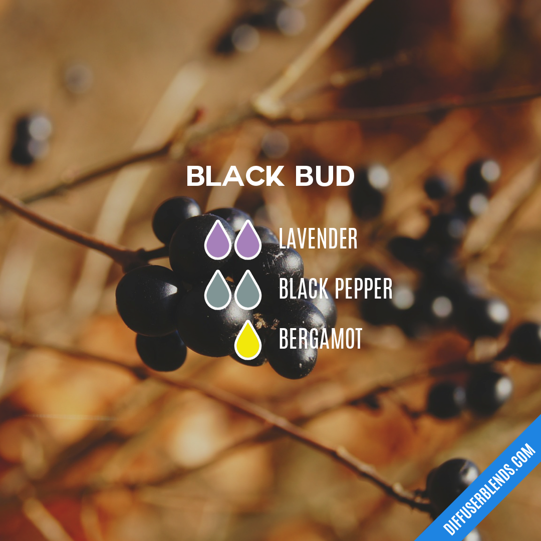 Black Bud | DiffuserBlends.com