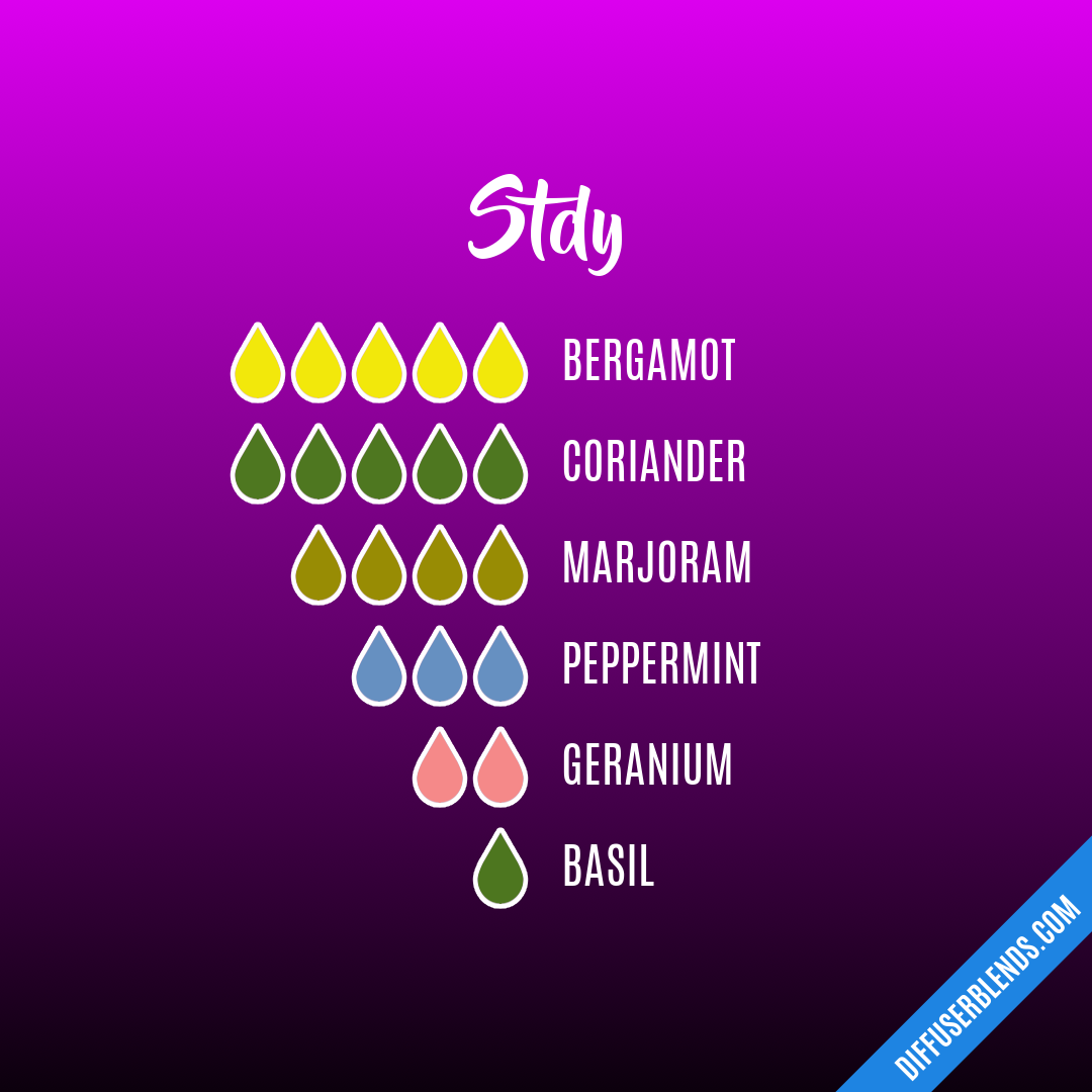 Stdy — Essential Oil Diffuser Blend