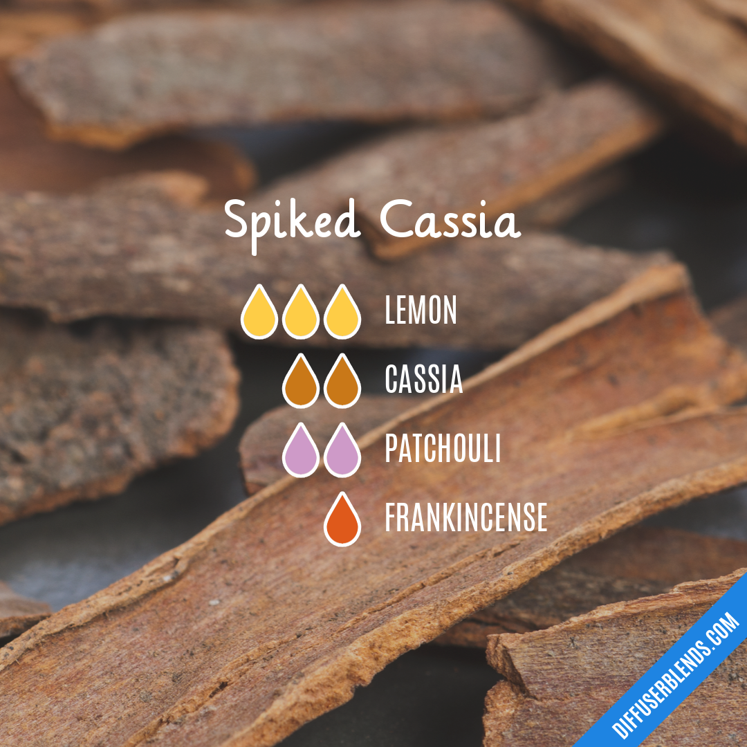 Spiked Cassia — Essential Oil Diffuser Blend