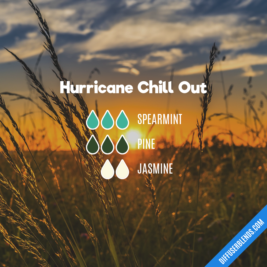 Hurricane Chill Out — Essential Oil Diffuser Blend