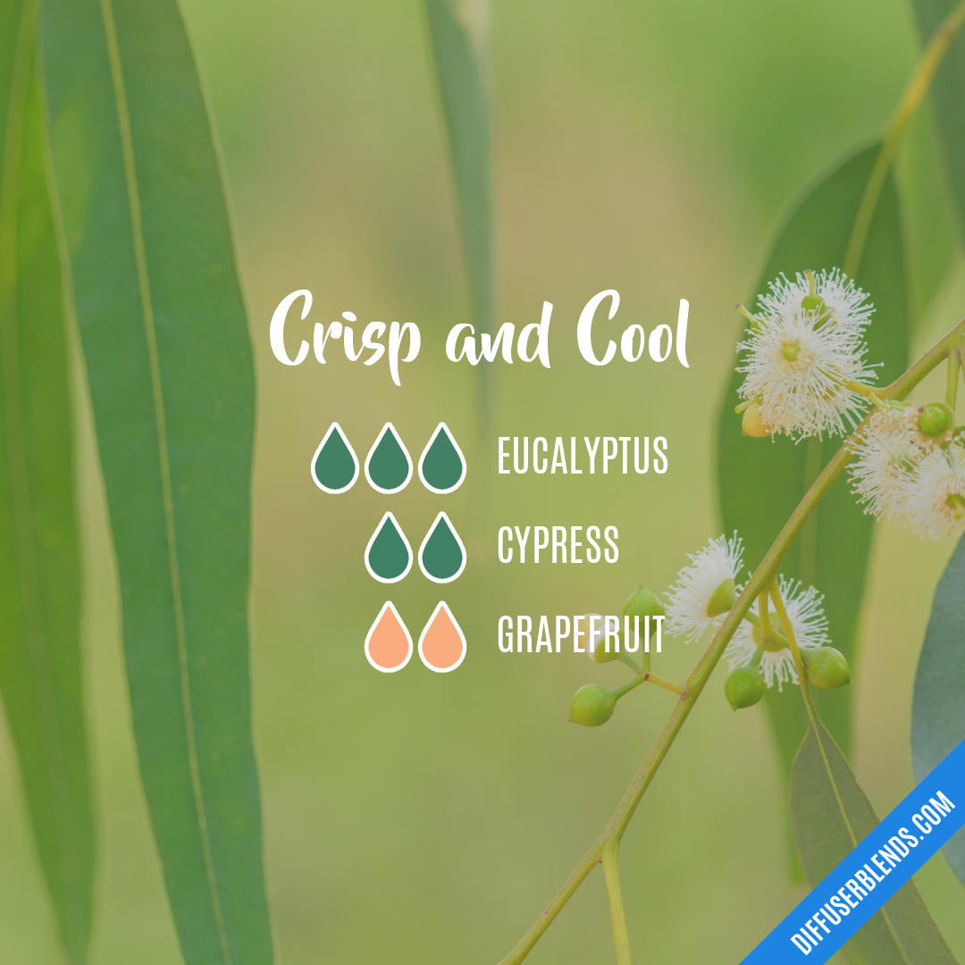 Crisp and Cool — Essential Oil Diffuser Blend