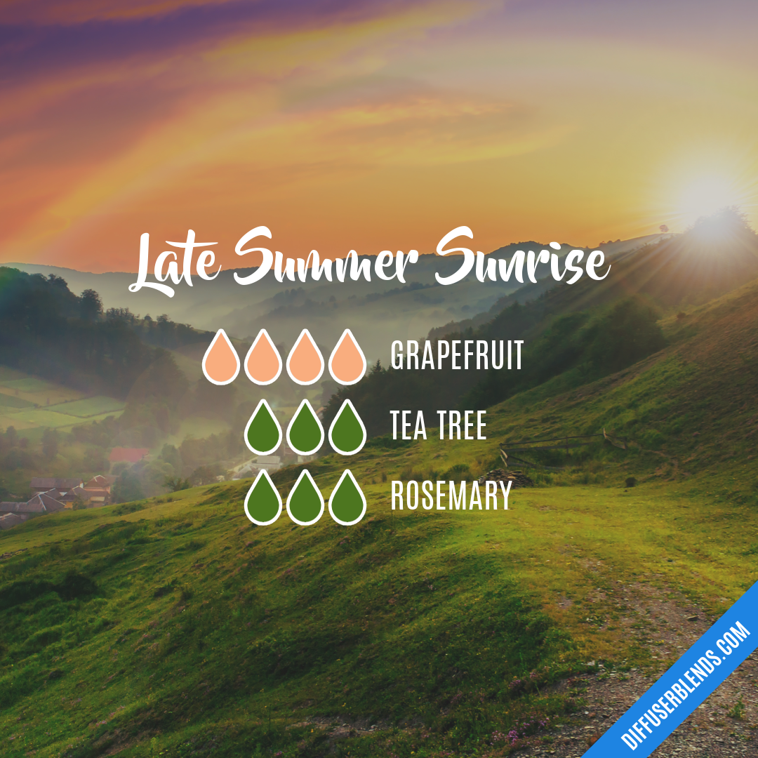 Late Summer Sunrise — Essential Oil Diffuser Blend