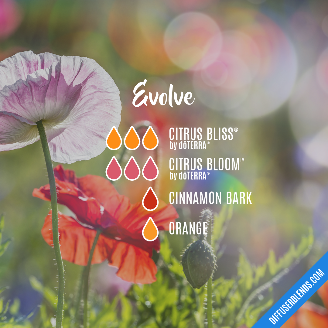 Evolve — Essential Oil Diffuser Blend