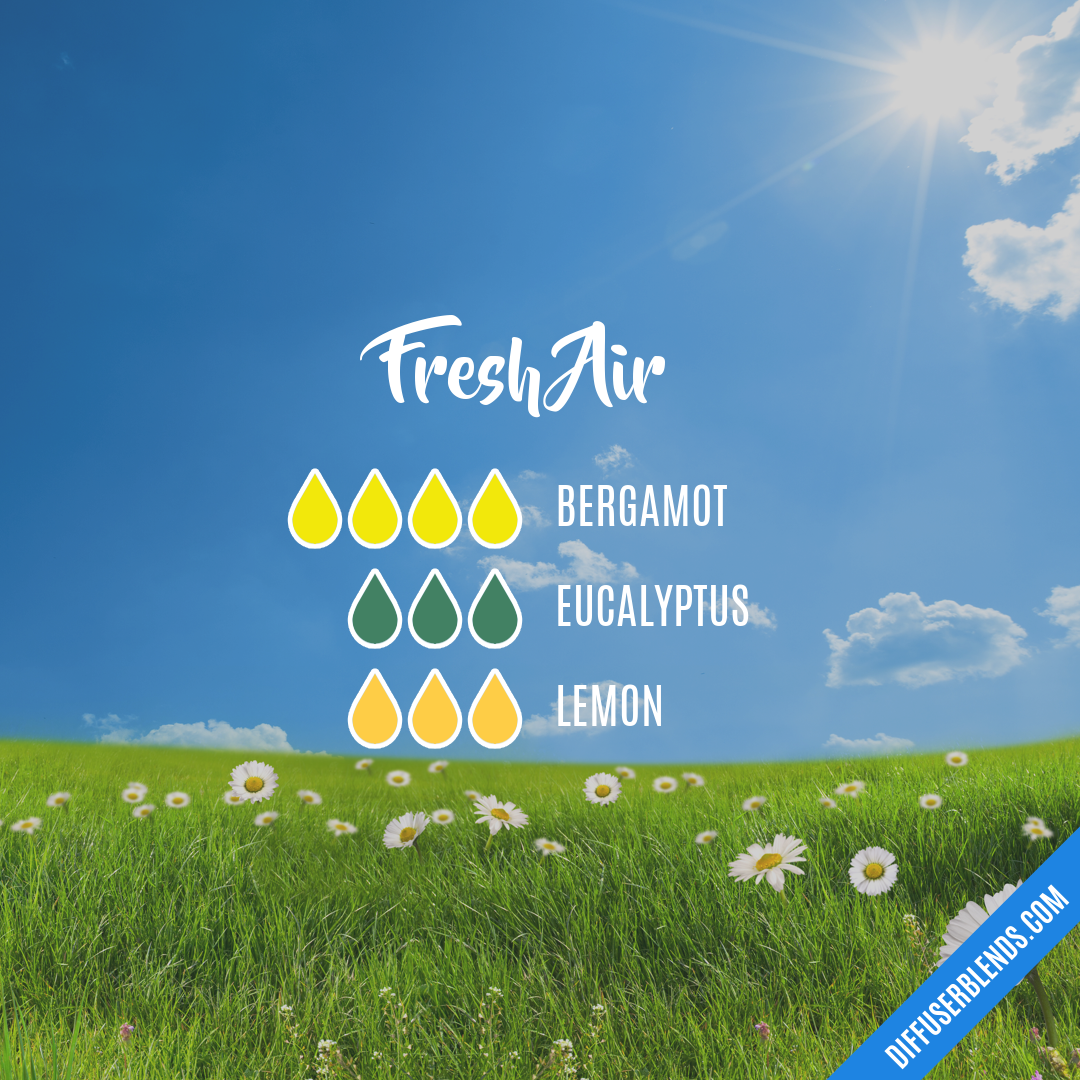 Fresh Air — Essential Oil Diffuser Blend