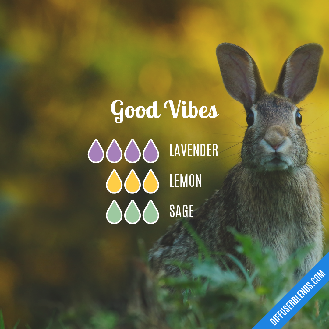 Good Vibes — Essential Oil Diffuser Blend