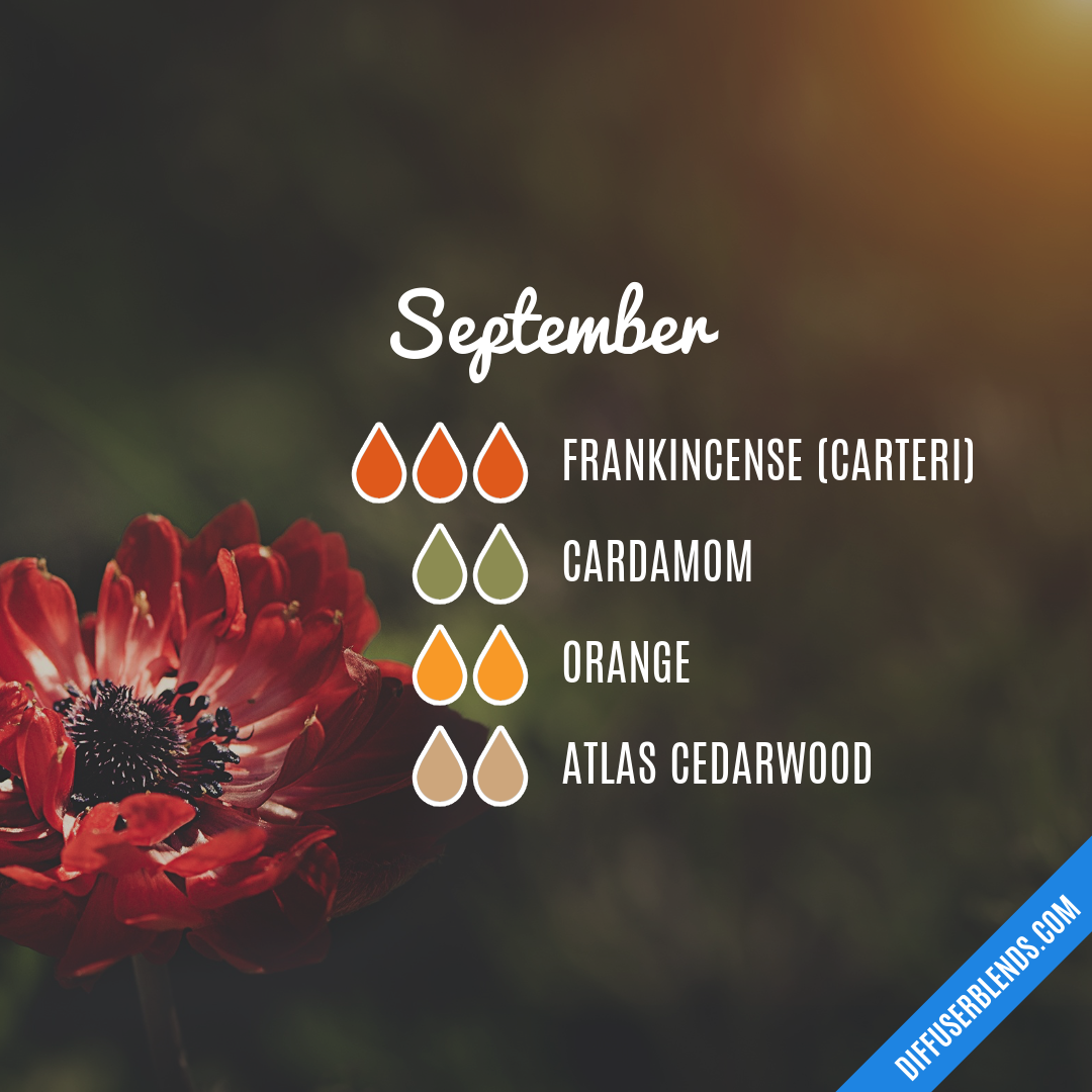 September — Essential Oil Diffuser Blend