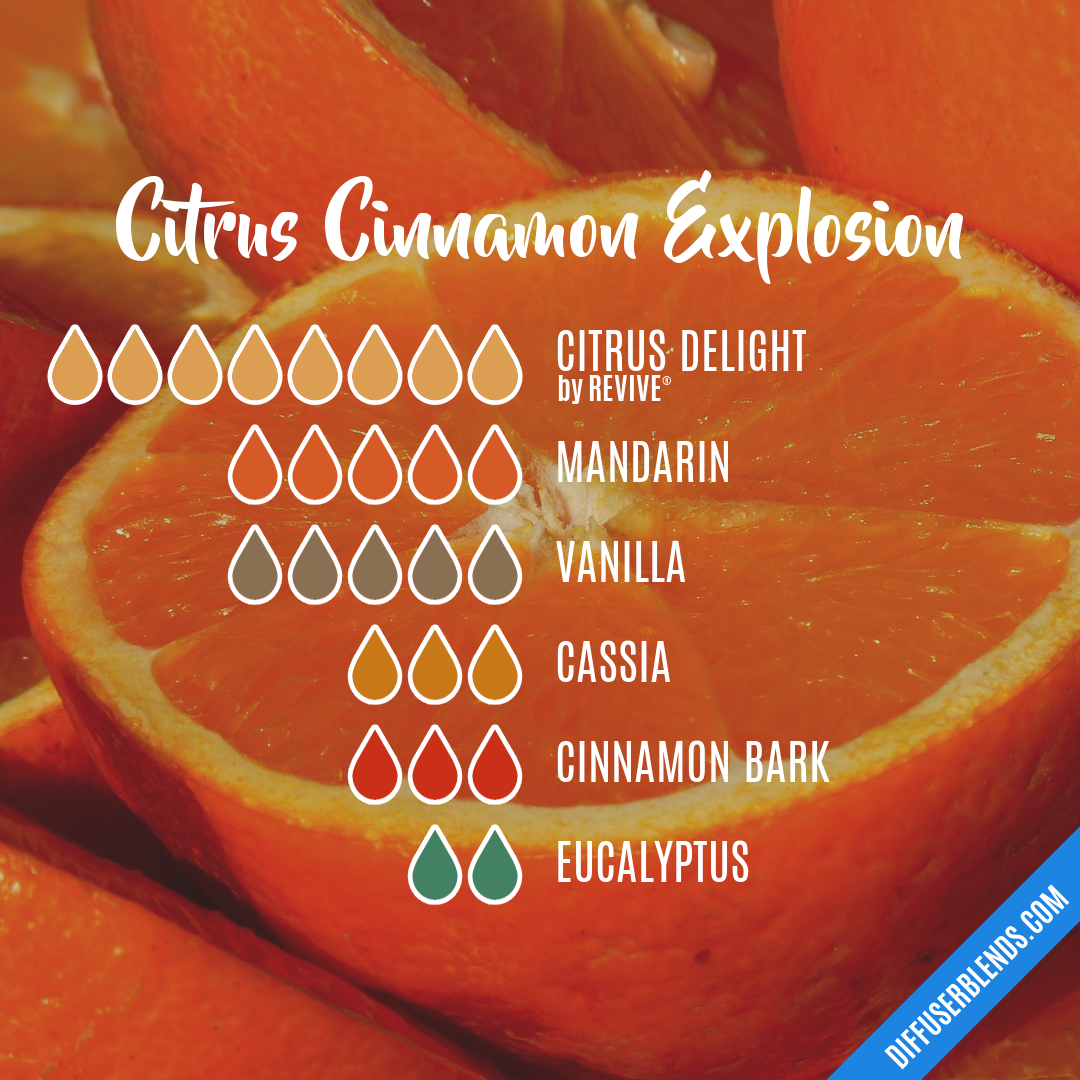 Citrus Cinnamon Explosion | DiffuserBlends.com