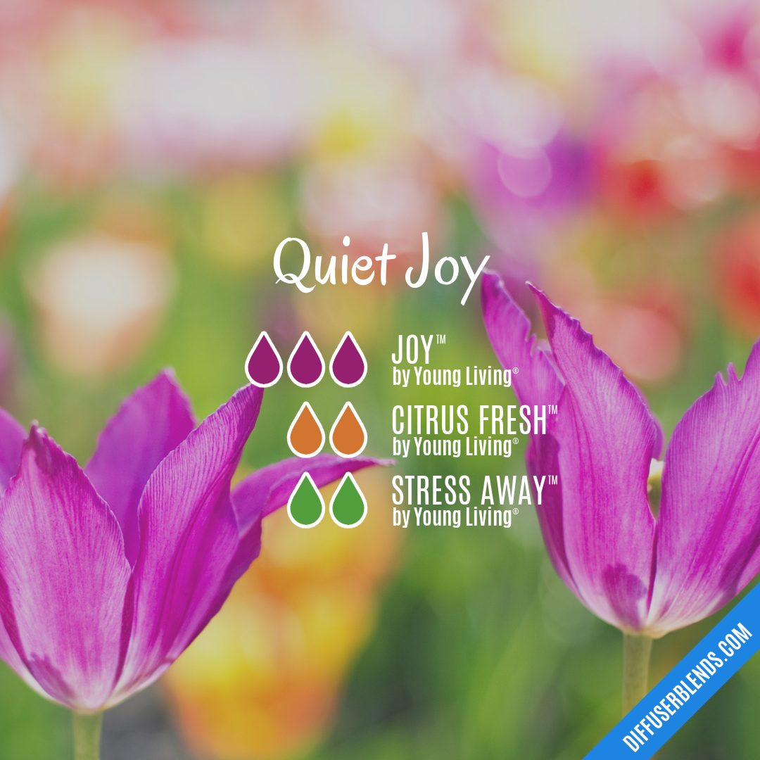 Quiet Joy — Essential Oil Diffuser Blend