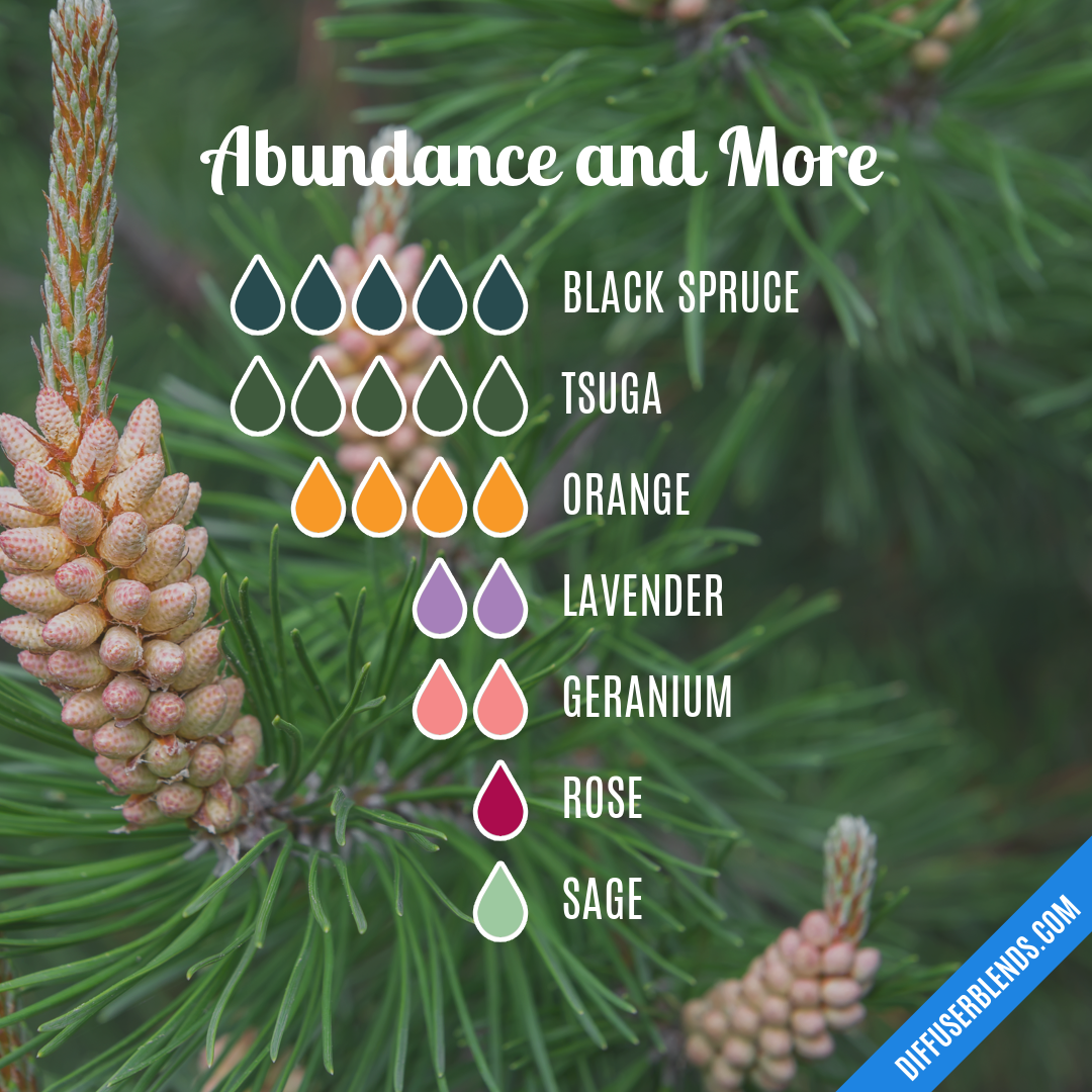 Abundance and More — Essential Oil Diffuser Blend