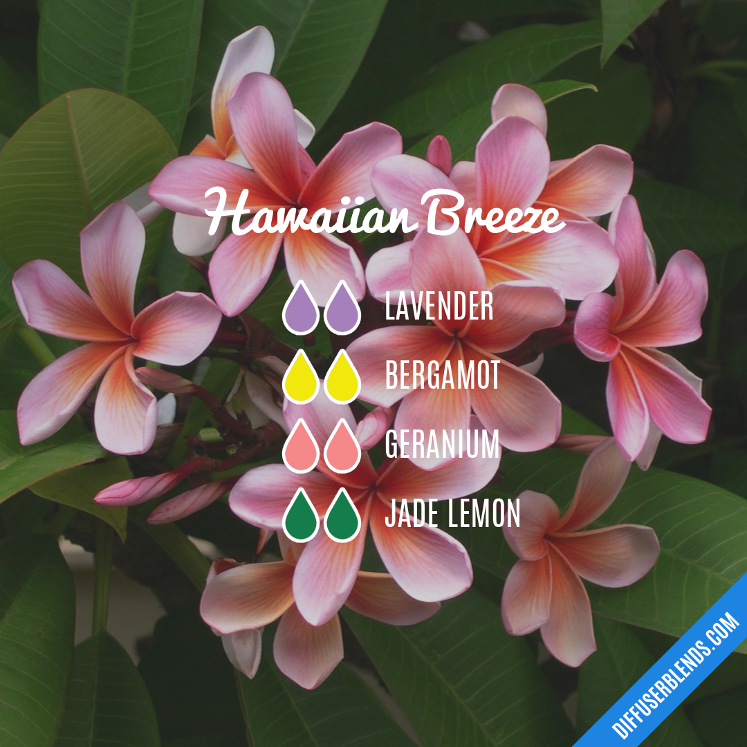 Hawaiian Breeze — Essential Oil Diffuser Blend