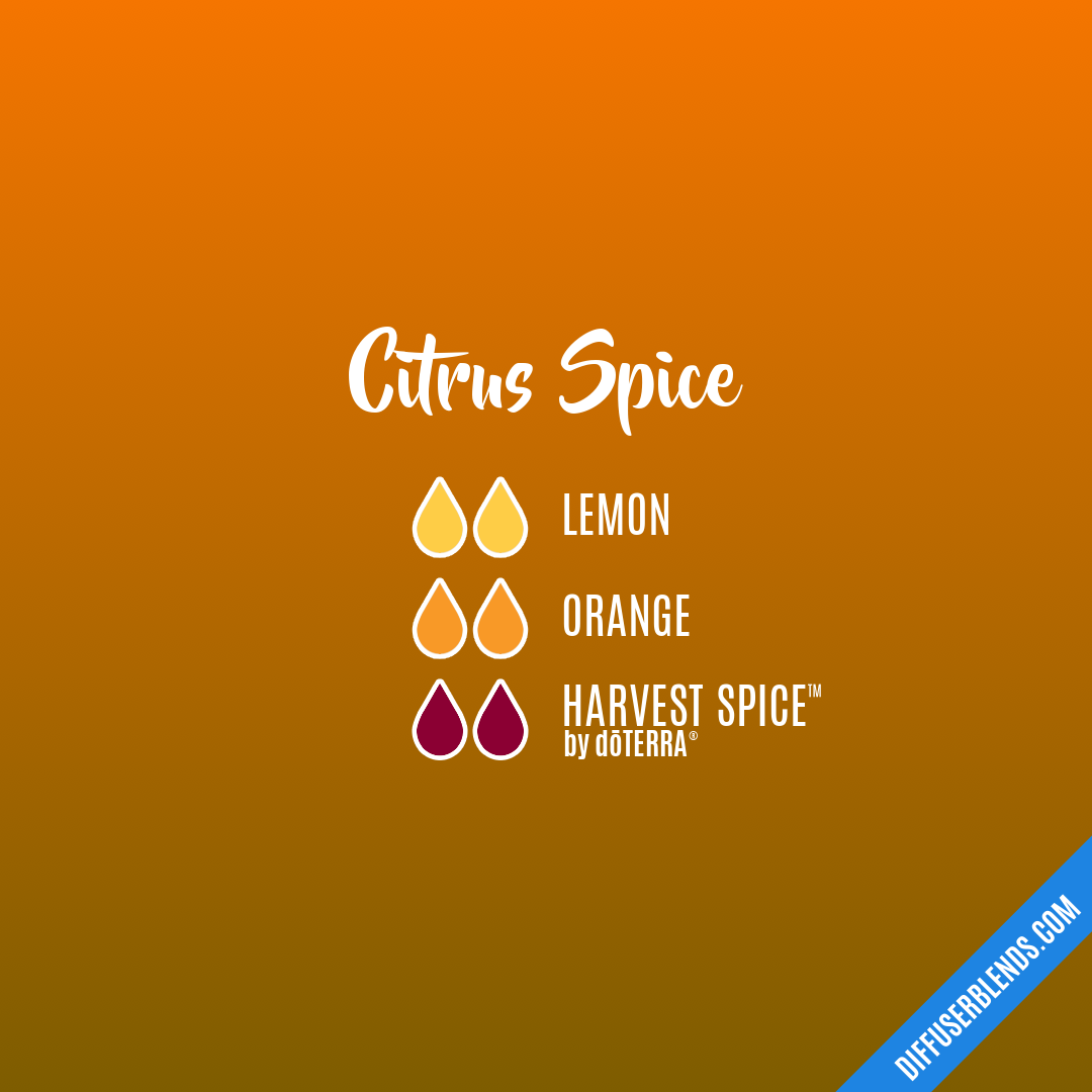 Citrus Spice — Essential Oil Diffuser Blend