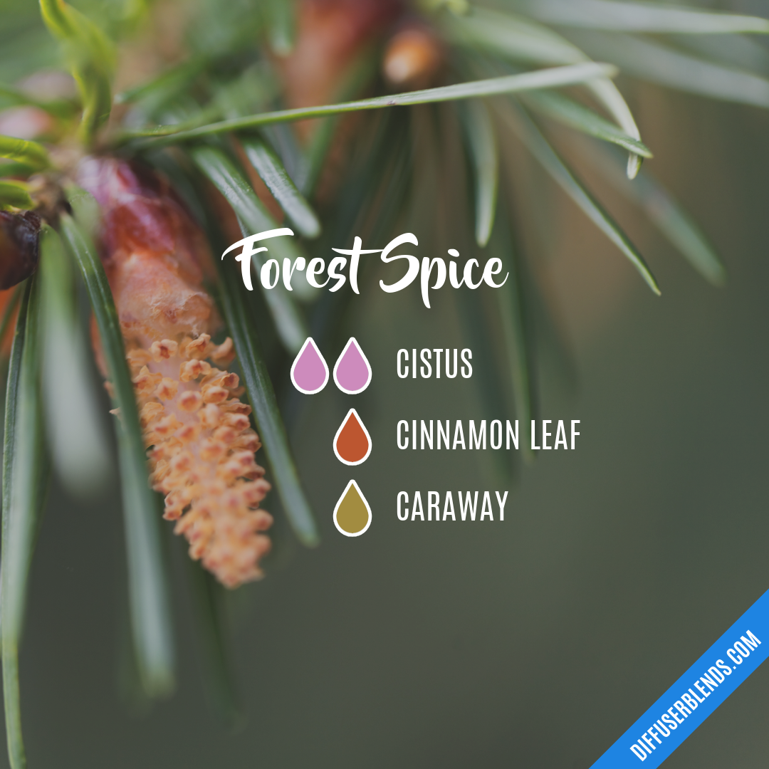 Forest Spice — Essential Oil Diffuser Blend