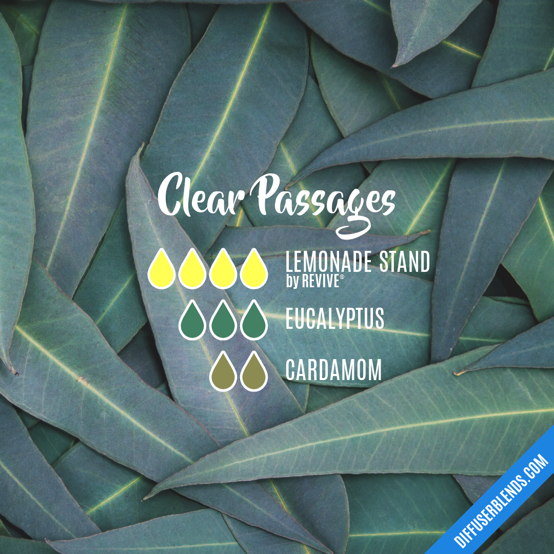 Clear Passages — Essential Oil Diffuser Blend