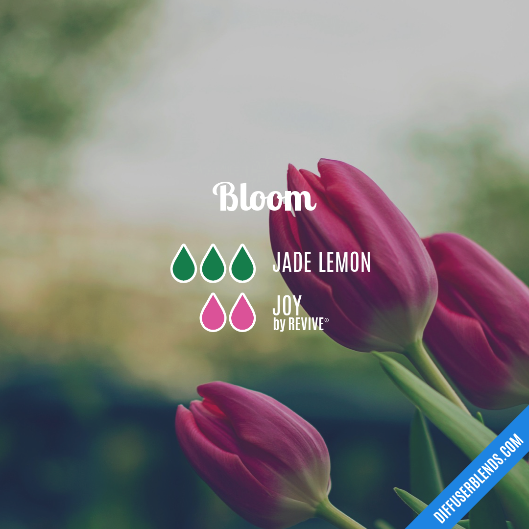 Bloom — Essential Oil Diffuser Blend