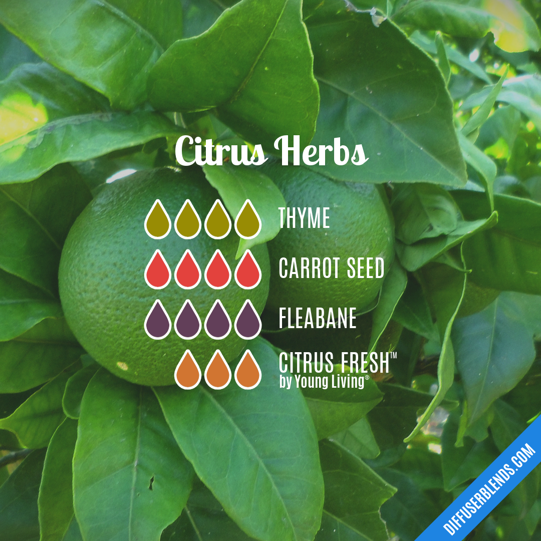 Citrus Herbs — Essential Oil Diffuser Blend