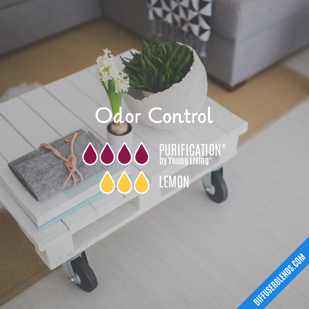 Odor Control — Essential Oil Diffuser Blend