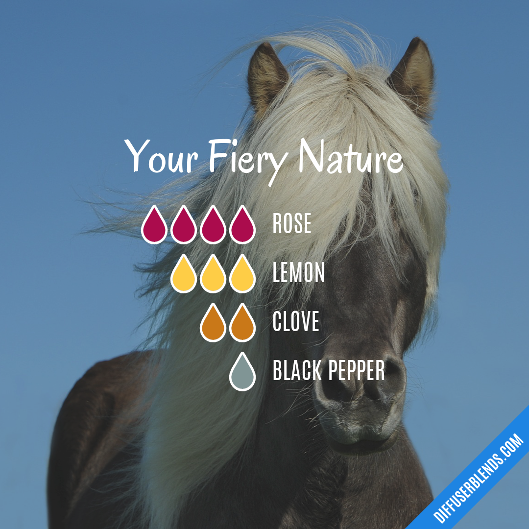 Your Fiery Nature — Essential Oil Diffuser Blend