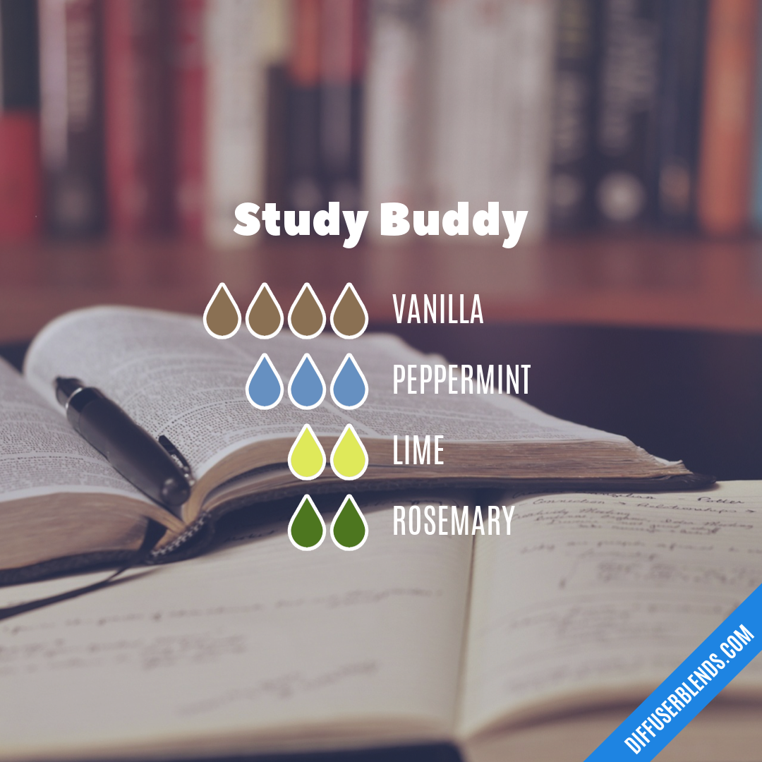 Study Buddy — Essential Oil Diffuser Blend