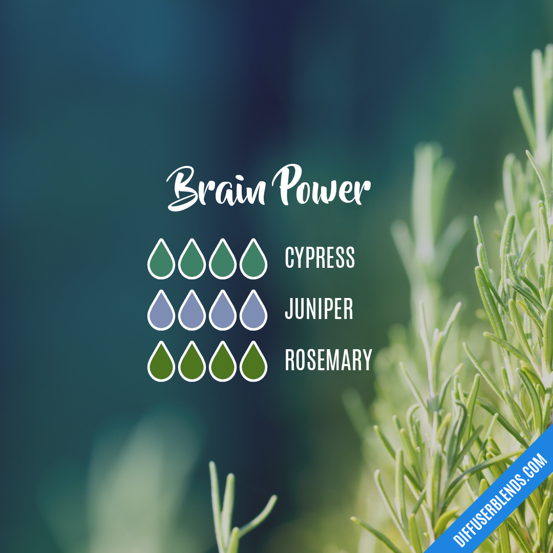 Brain Power — Essential Oil Diffuser Blend