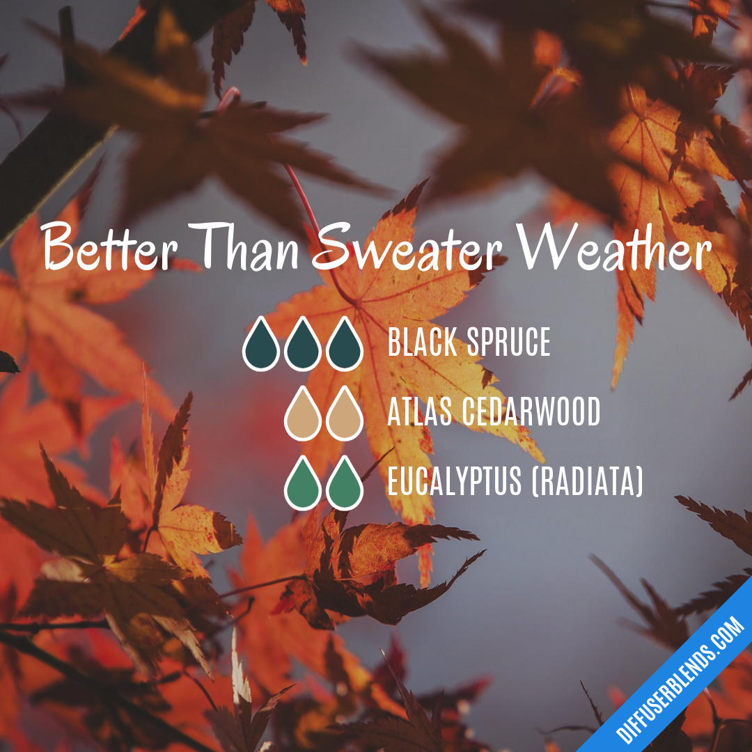 Better Than Sweater Weather — Essential Oil Diffuser Blend