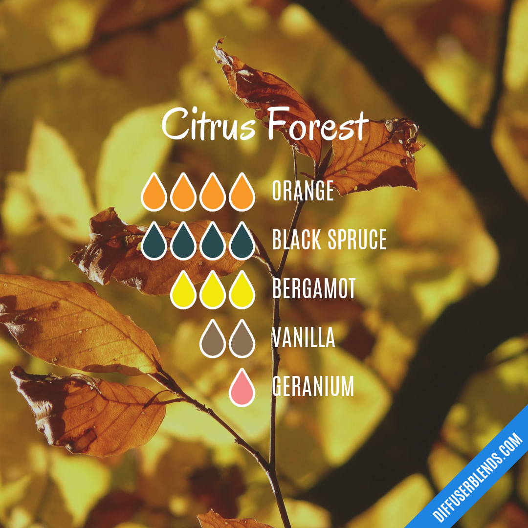 Citrus Forest — Essential Oil Diffuser Blend