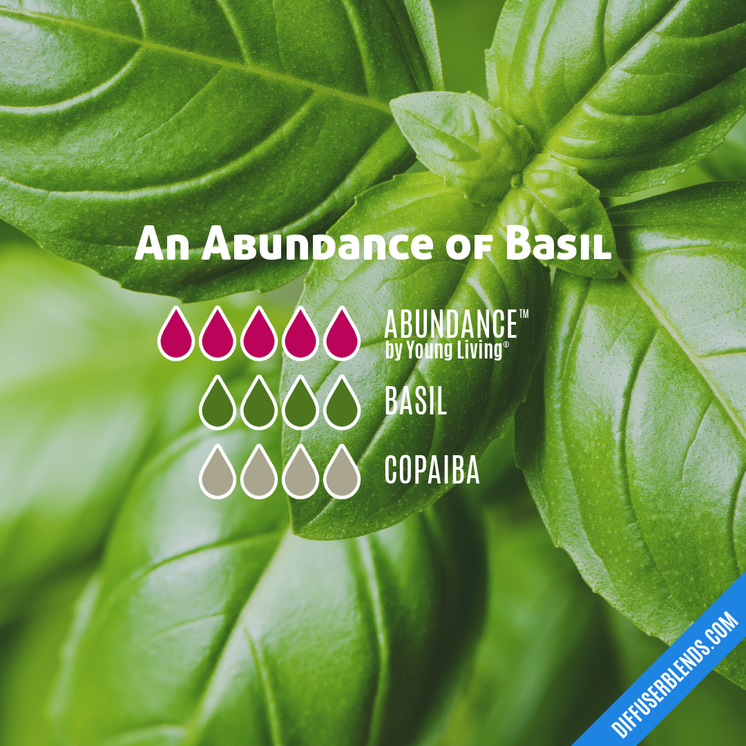 An Abundance of Basil — Essential Oil Diffuser Blend