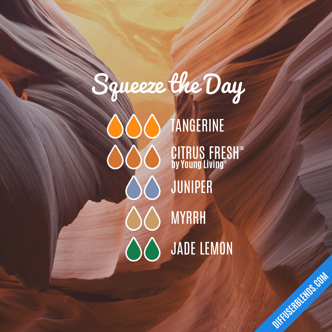 Squeeze the Day — Essential Oil Diffuser Blend