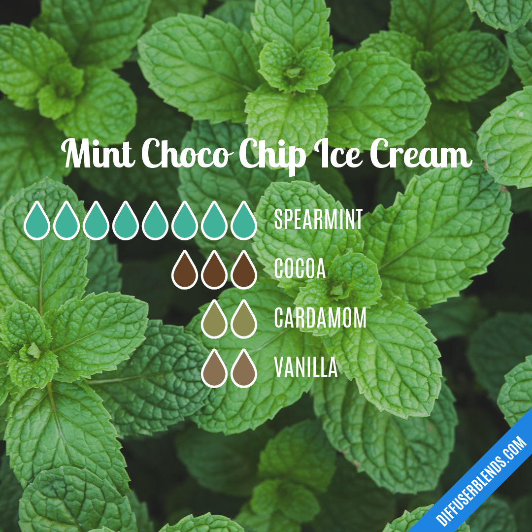 Mint Choco Chip Ice Cream — Essential Oil Diffuser Blend