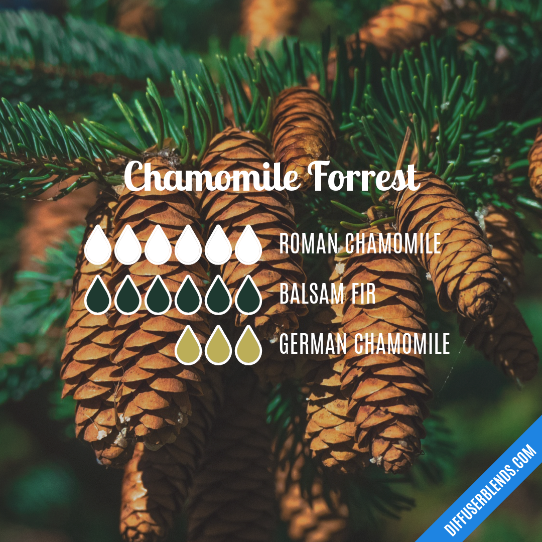 Chamomile Forrest — Essential Oil Diffuser Blend