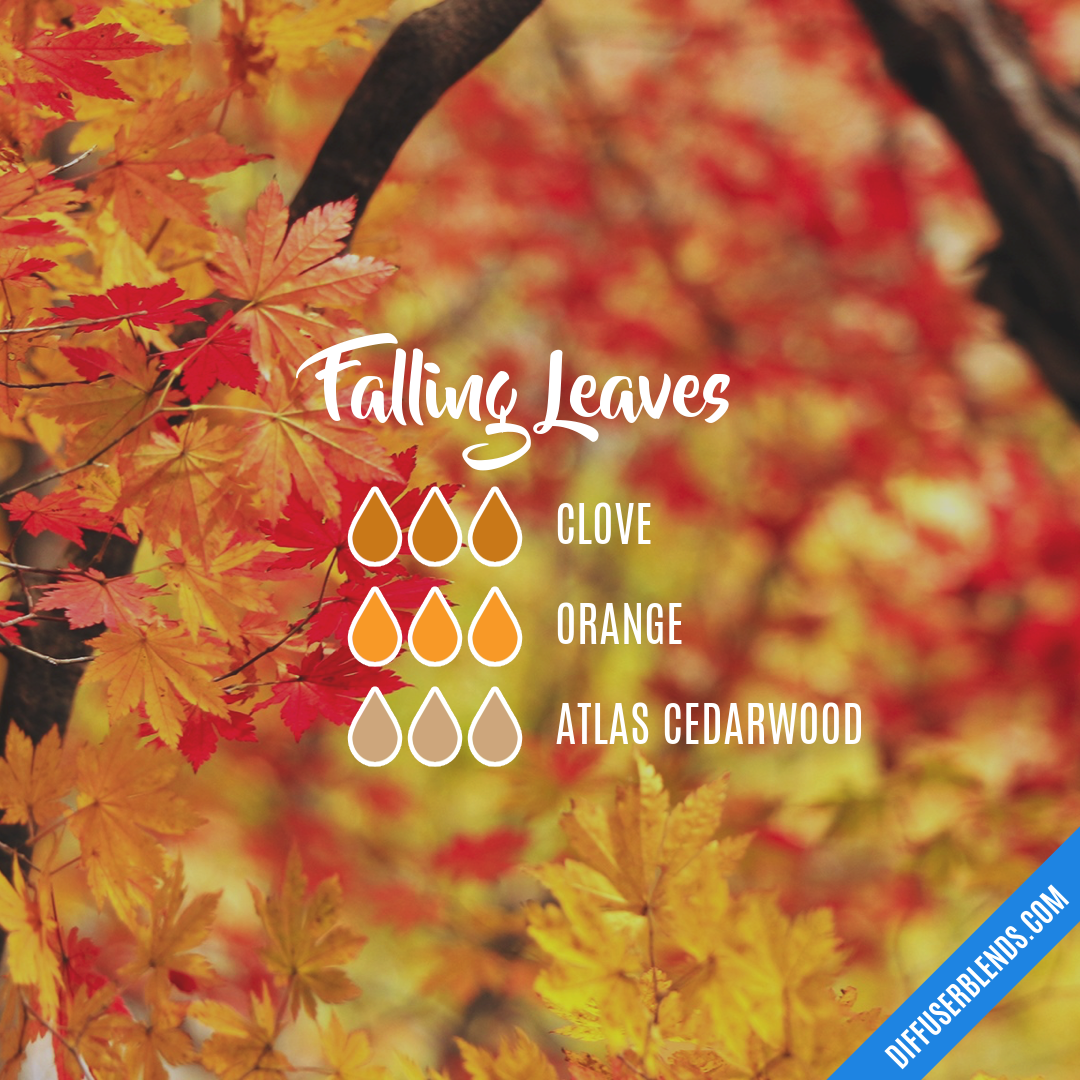 Falling Leaves | DiffuserBlends.com