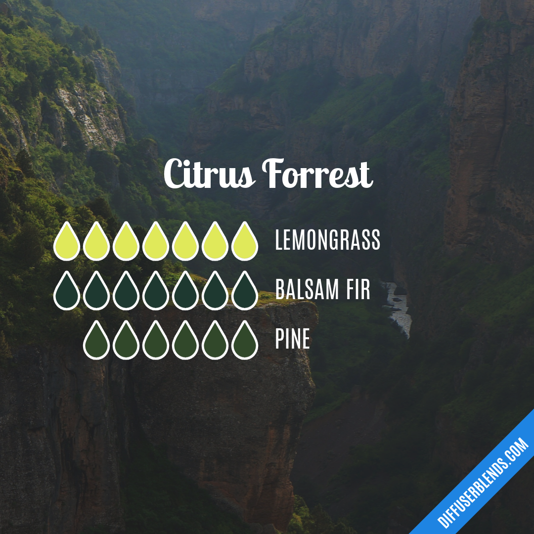 Citrus Forrest — Essential Oil Diffuser Blend