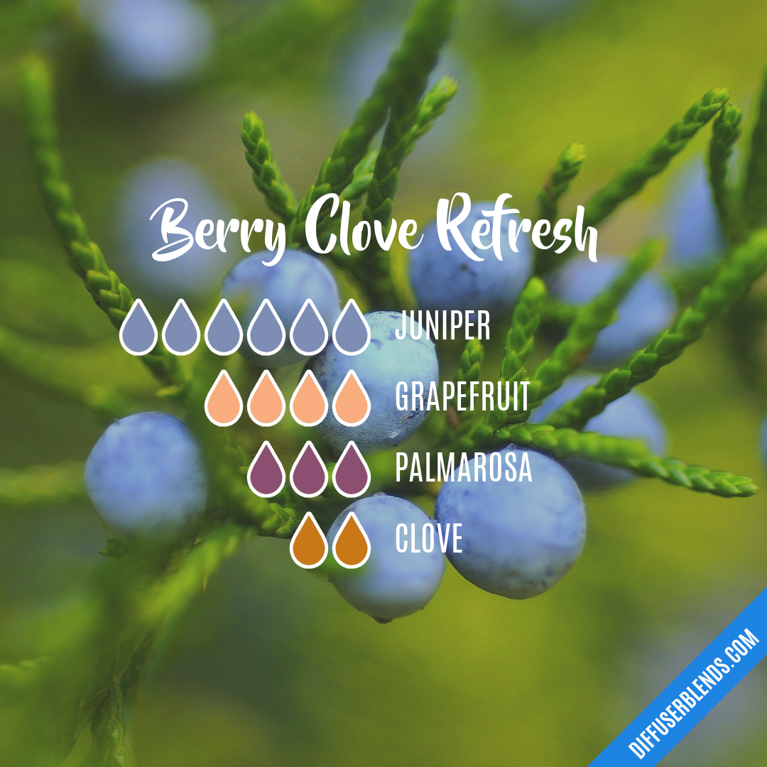 Berry Clove Refresh | DiffuserBlends.com