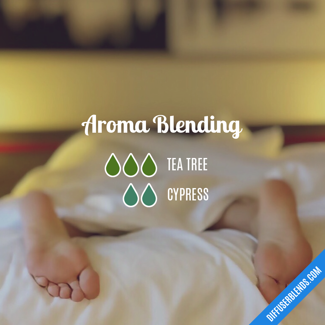 Aroma Blending — Essential Oil Diffuser Blend