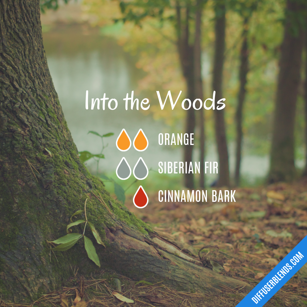 Into the Woods — Essential Oil Diffuser Blend