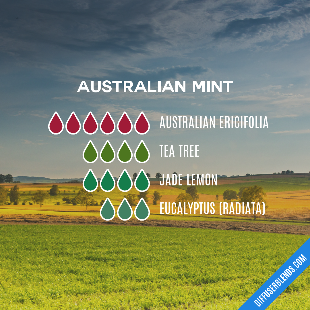 Australian Mint — Essential Oil Diffuser Blend