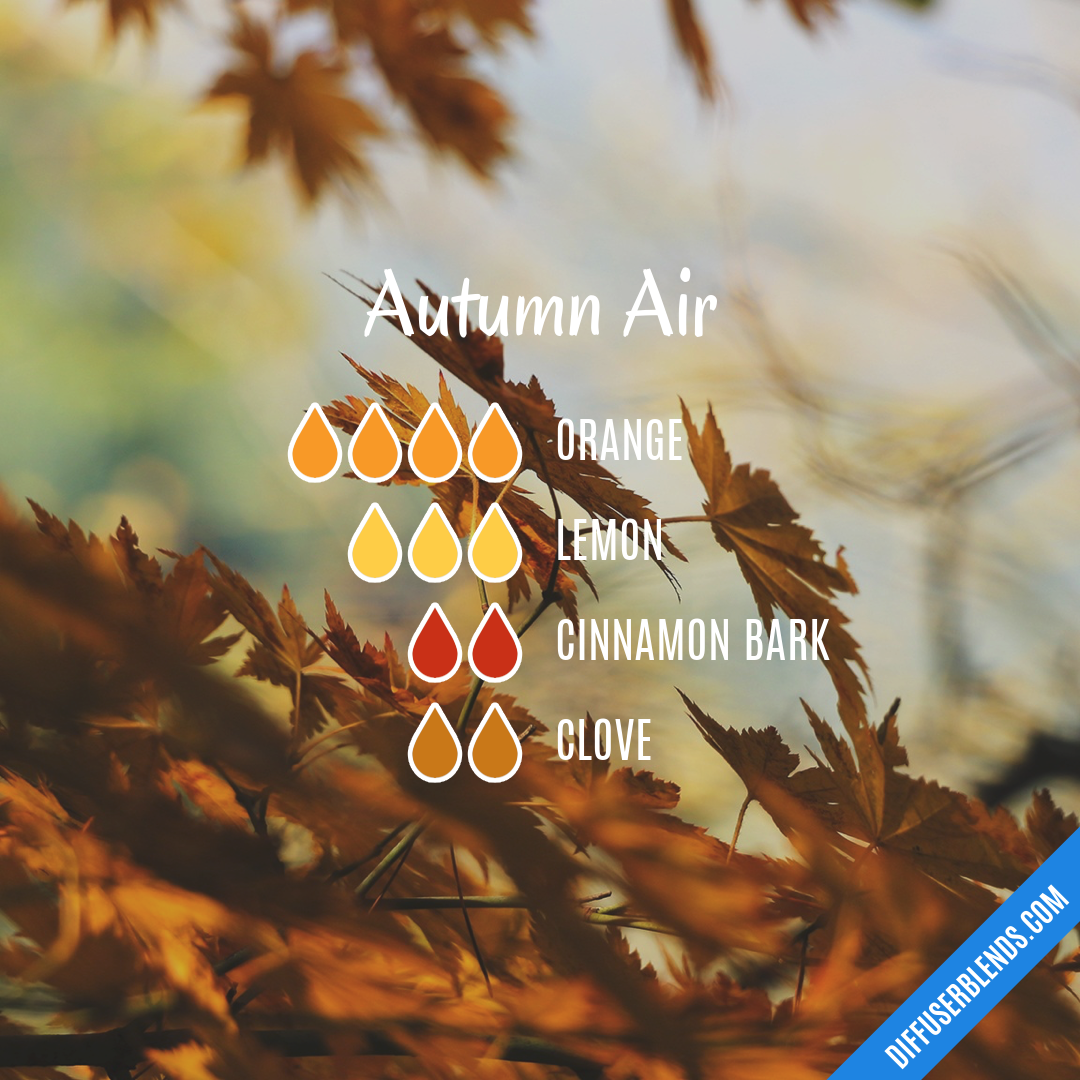 Autumn Air — Essential Oil Diffuser Blend