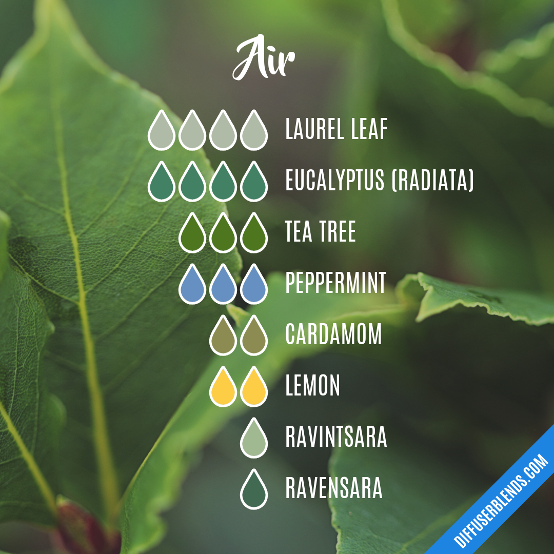 Air — Essential Oil Diffuser Blend