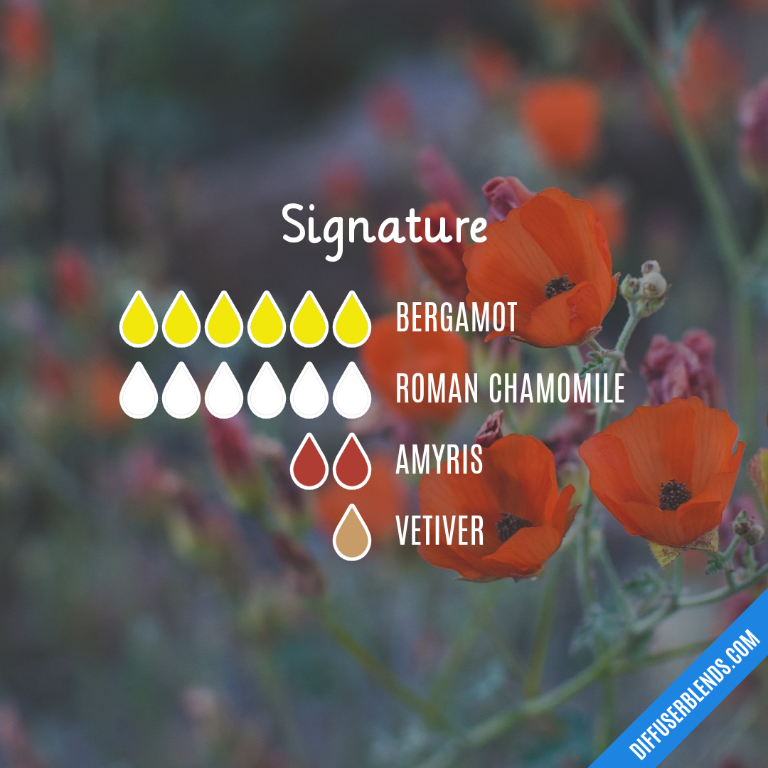 Signature — Essential Oil Diffuser Blend