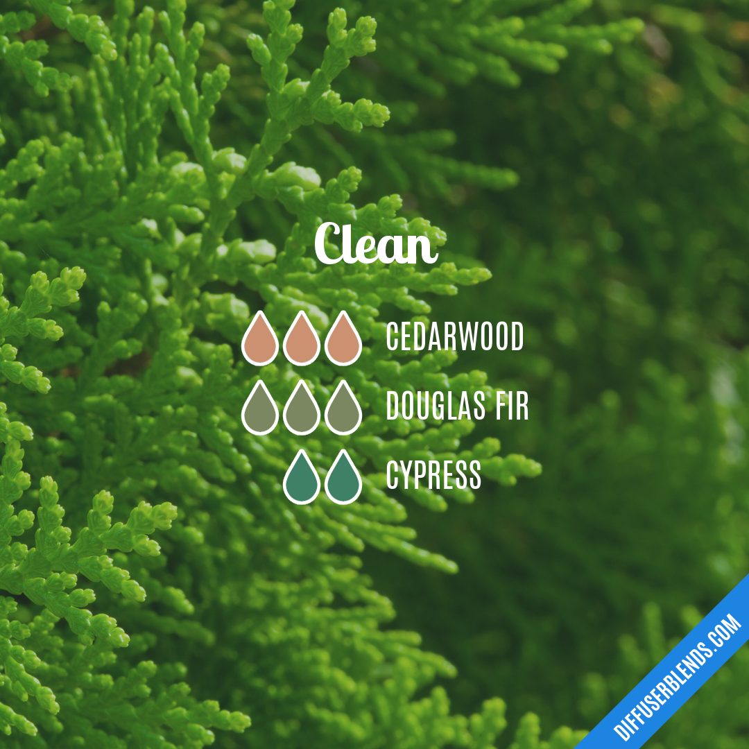 Clean — Essential Oil Diffuser Blend