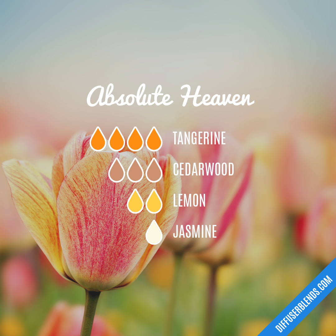 Absolute Heaven — Essential Oil Diffuser Blend