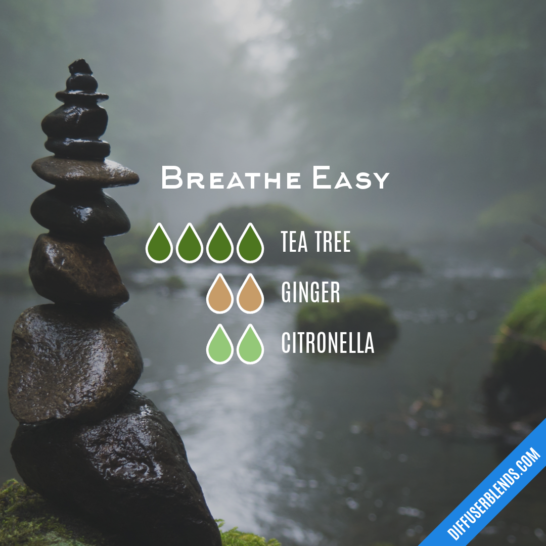 Breathe Easy — Essential Oil Diffuser Blend