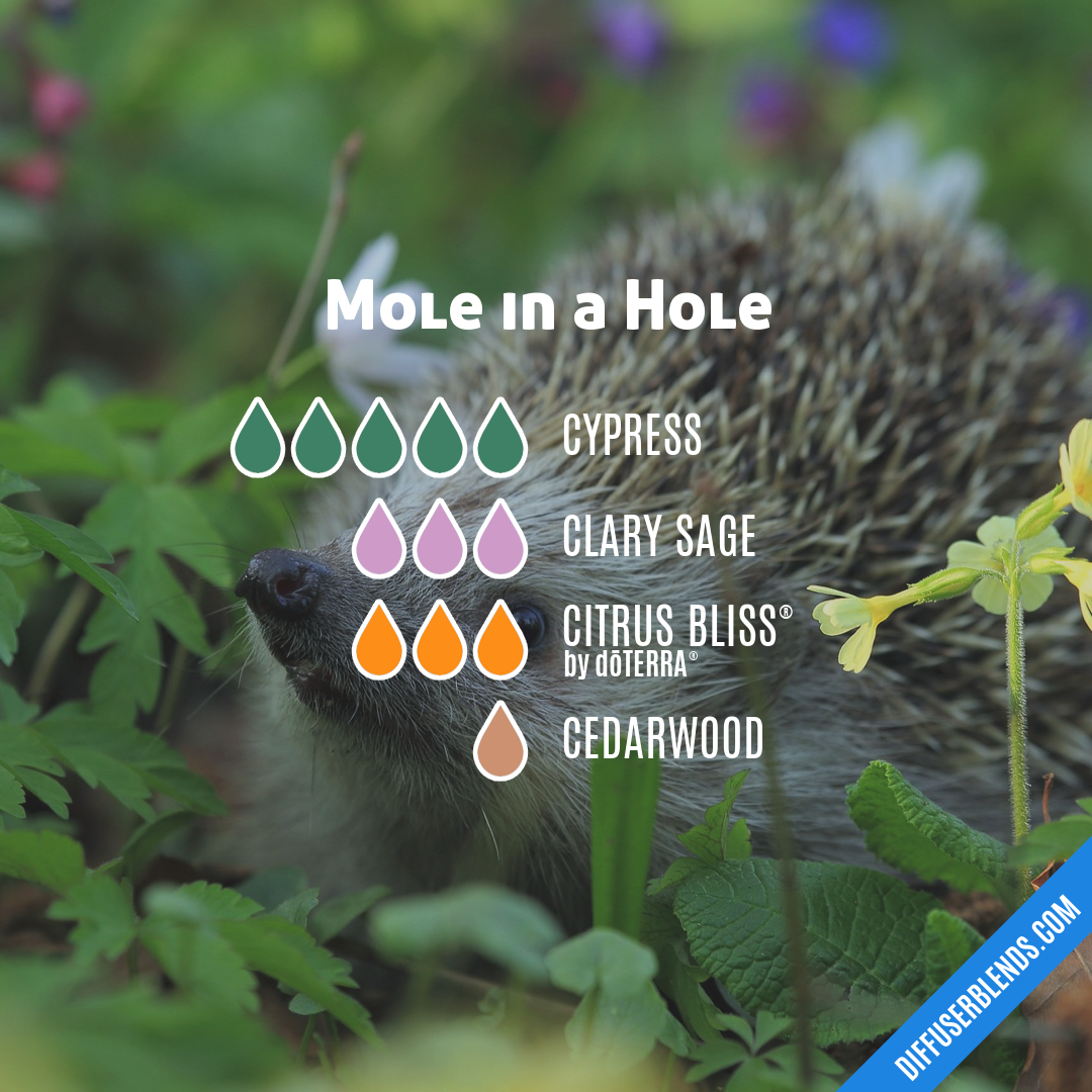 Mole in a Hole — Essential Oil Diffuser Blend