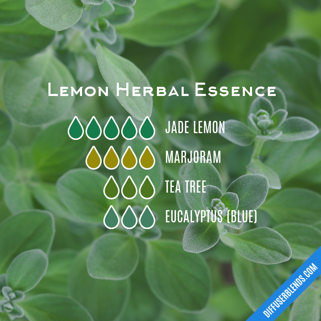 Lemon Herbal Essence | DiffuserBlends.com
